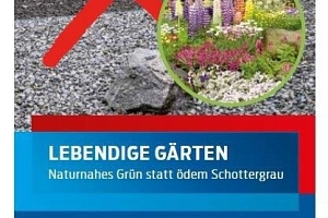 Flyer zum Thema Schottergärten-Bild.jpg